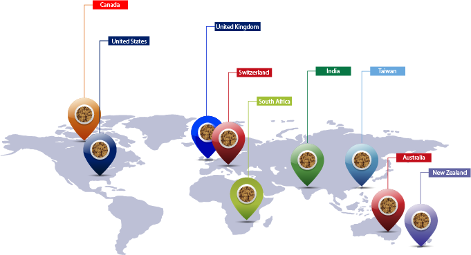 Sustainable Super Food